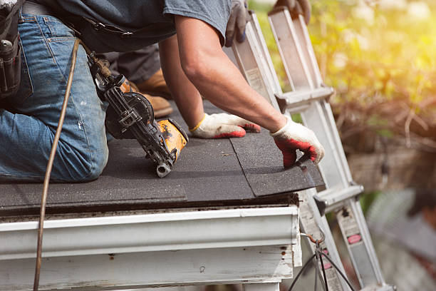 Best Roof Gutter Cleaning  in Oriole Beach, FL